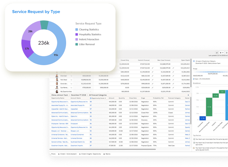 Team member reviewing analytics dashboard
